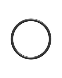 Oring Filtro Aspiracion 2" Serie 316